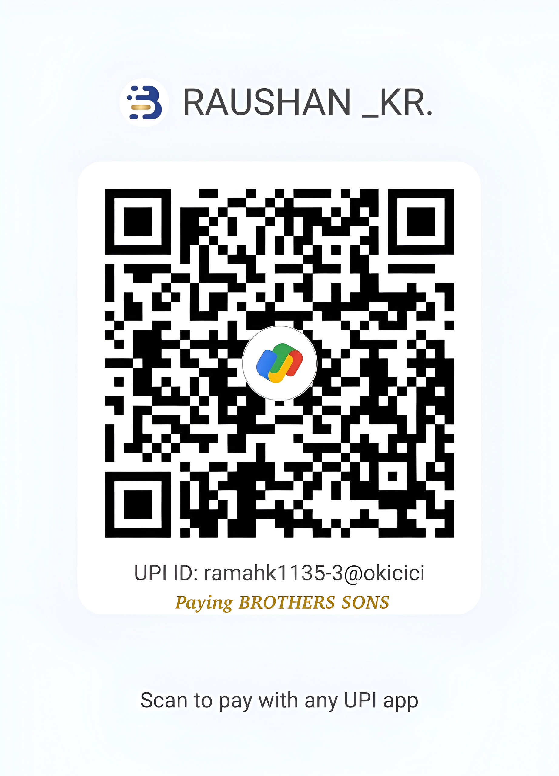 UPI Merchant QR Code Scanner Asset